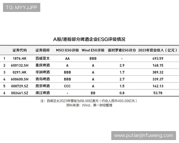 巴西对海地比赛比分及赛况总结,比赛中的战术调整与未来展望 巴西对海地比赛比分及赛况总结,比赛中的战术调整与未来展望
